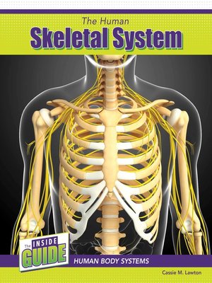 cover image of The Human Skeletal System